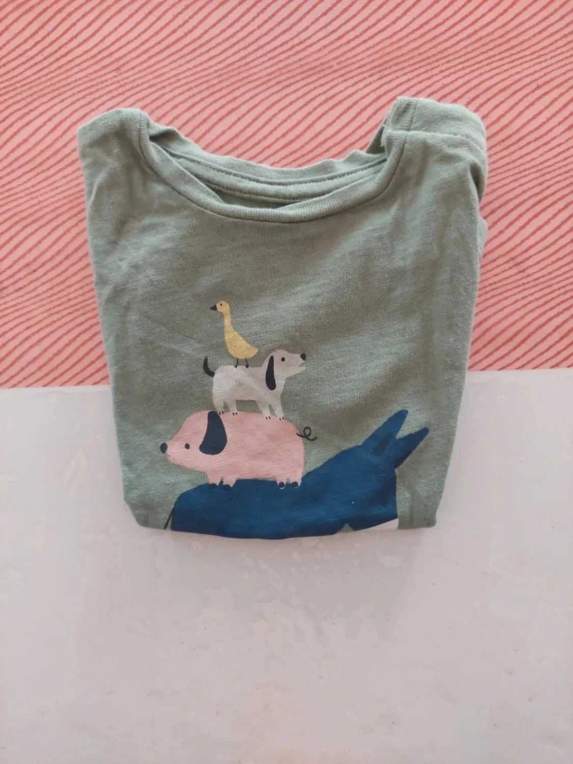 Tee shirt 9mois